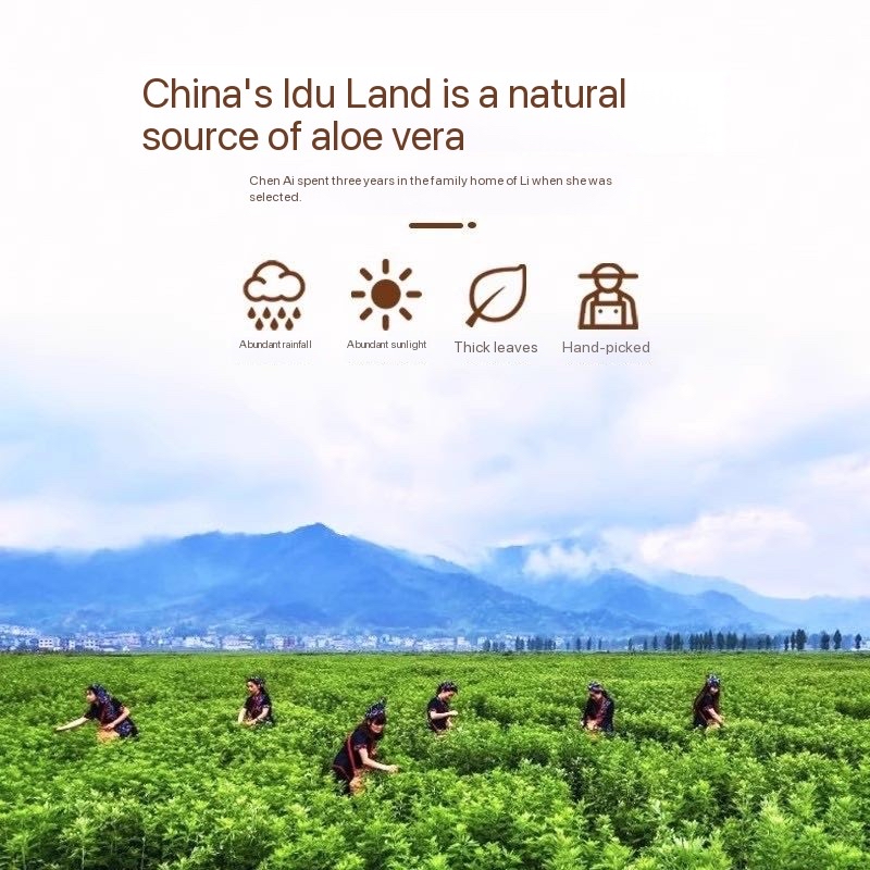 1764388146718324.jpg 4.jpg